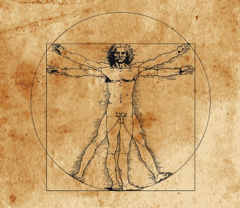 vitruvian